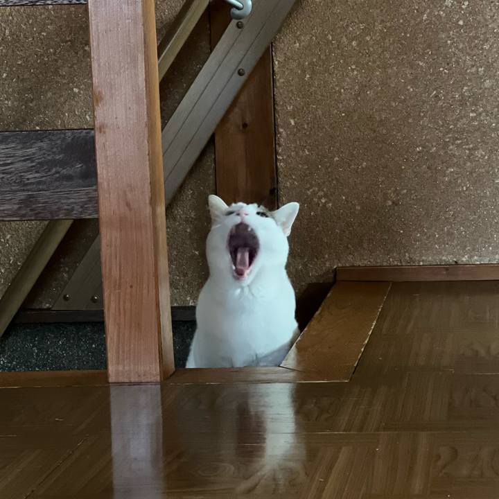 50e784a2 e76f 4891 b6a6 e881ce38715b 1683465733476