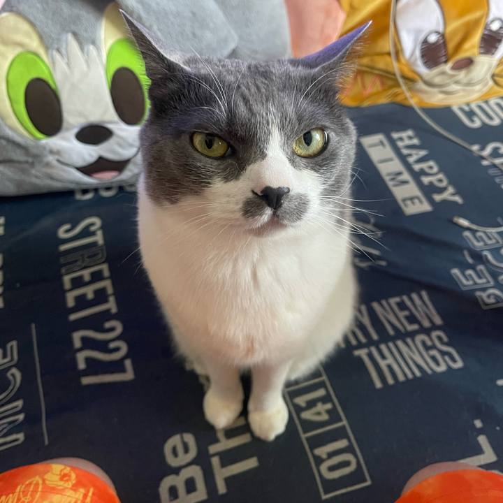 50e7976a 1a3c 417d a851 34bfa728f975 1748155739204