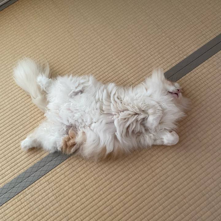 50e7b35a d24e 4503 9db1 bc3253b209e0 1722468564372