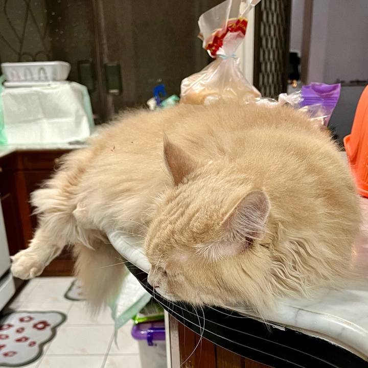 50e7b47f 80a8 413c 8d4b 28b01ad79133 1763718381740