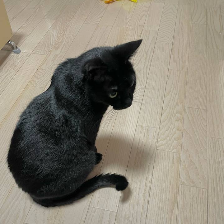 50e7b959 0e63 4367 bb12 057afd956298 1710681136403