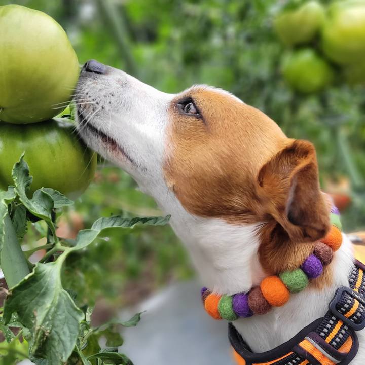 50e7dd0c 58e0 4b40 a592 5d8720788cfa 1654817317450