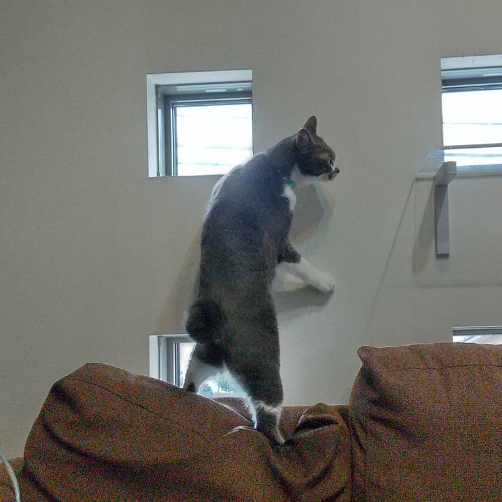 50e81085 c9aa 4df0 823e 45aef1670261 1635644210140