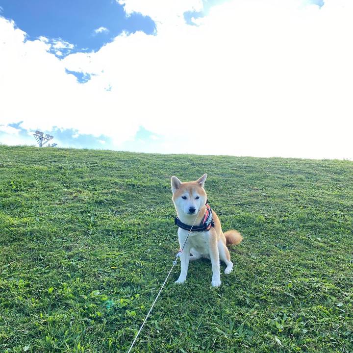 50e82d37 6a85 4584 a961 19f7785a5ff0 1601948948739