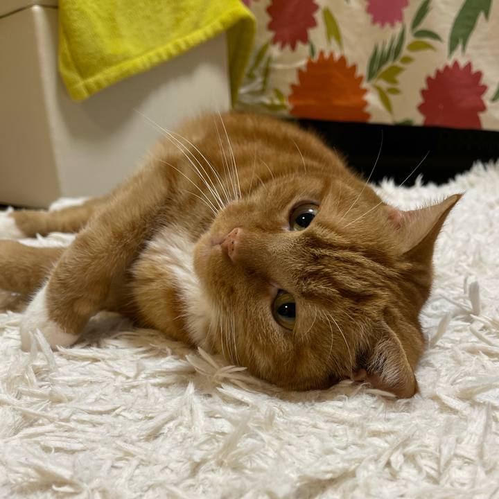 50e85447 c030 4b1b b924 2a73fcbda060 1661683145946