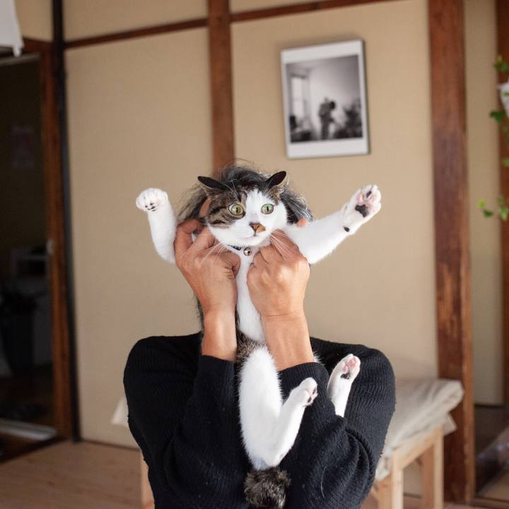 50e86c83 ba38 4486 8d1b ba98930078b4 1575896189443