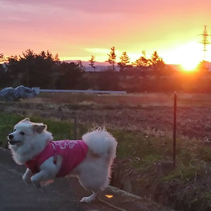 50e87491 7375 4c2e aa92 5c9751d76237 1510869020804