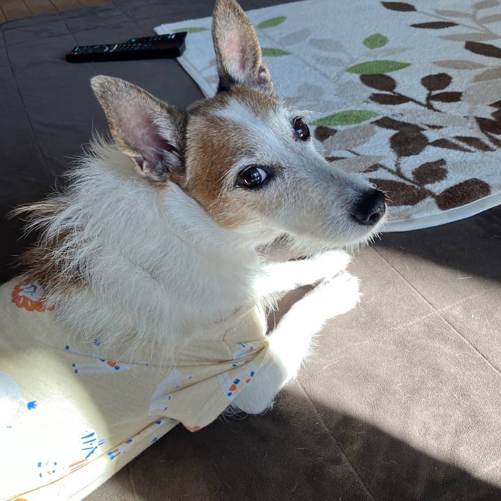 50e8881e 6e45 4c24 be7c aaefe8b7f8bd 1731112196385