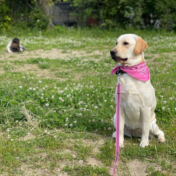 50e8adf9 41a6 42df b2db 80b3dd42b865 1651733389667