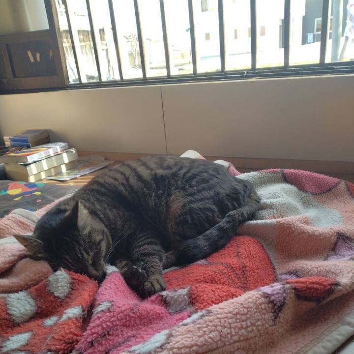 50e8af45 667d 4e21 98ef ca867f135772 1678516756981