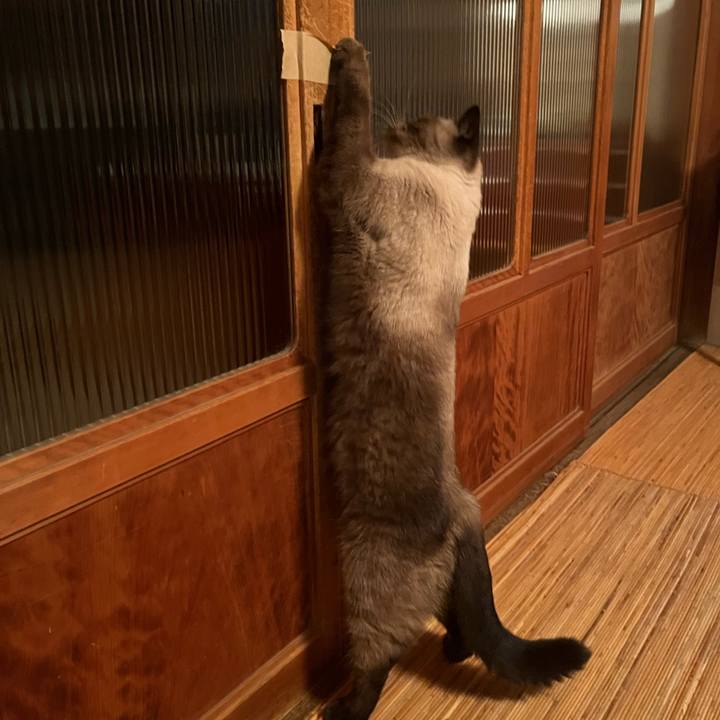 50e8c0f9 25b0 4002 9b2e f71f9b30b632 1634044867628