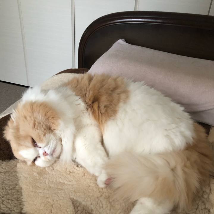 50e8e23d 0a1e 4888 9a00 3cb29664c88a 1645316426954