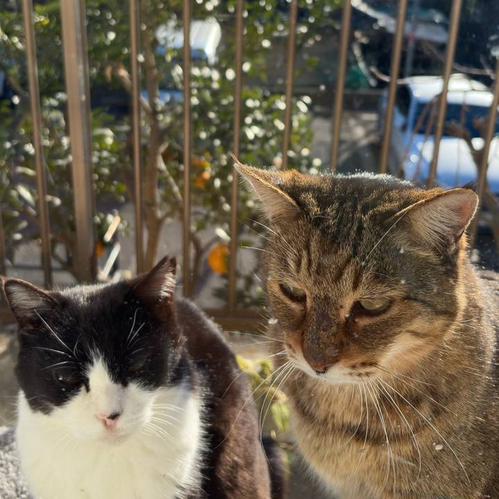 50e8ff9c e07d 4621 aeb5 d2d865941bc1 1767681506584