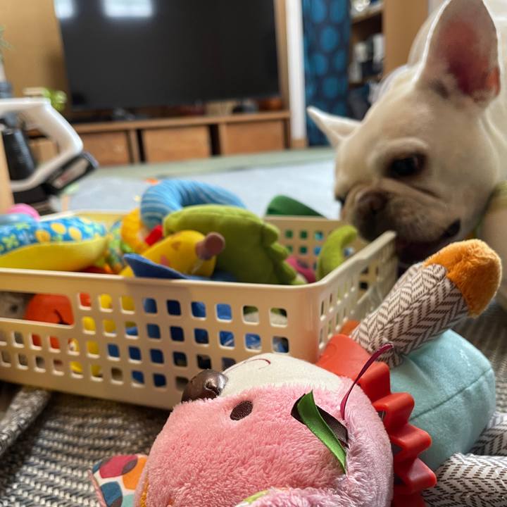 50e91439 cffb 4f44 b8b4 30f4e2693da7 1723784637243