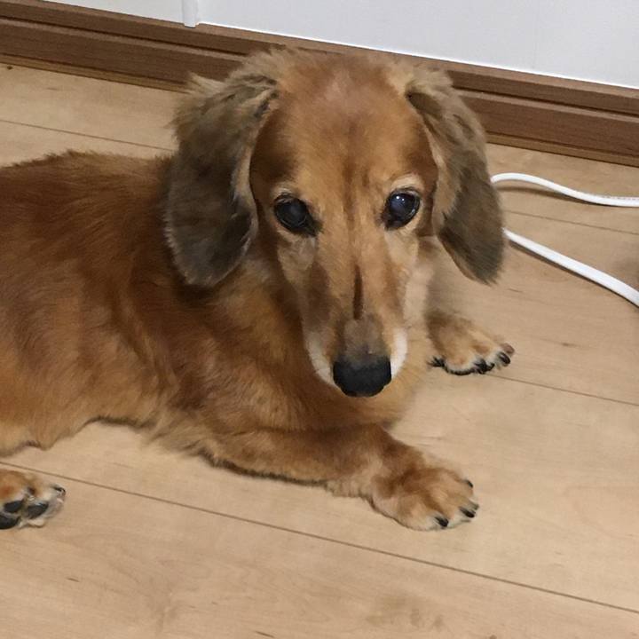 50e94595 c026 4154 9aa8 a1c7f2518560 1625836062429