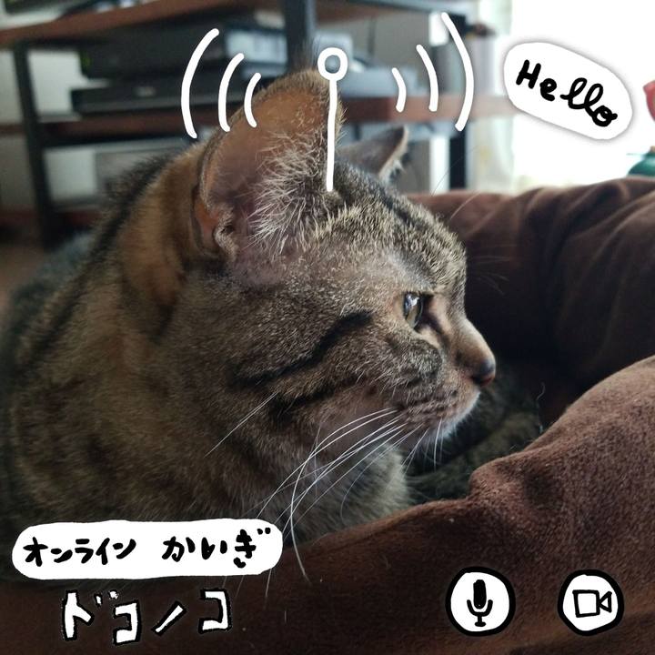 50e9a728 1b7d 4a98 8f59 a71916c05b1a 1590795005012