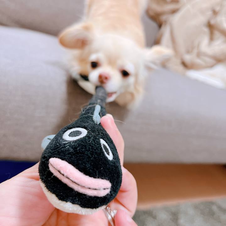 50ea12c0 cb75 4ea1 9134 9c8a3c5a5c1a 1653993497763