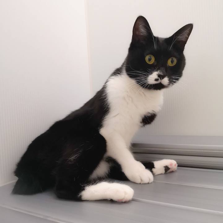 50ea1dc9 d7f2 4043 9e0a c30cd5a42907 1545234985088