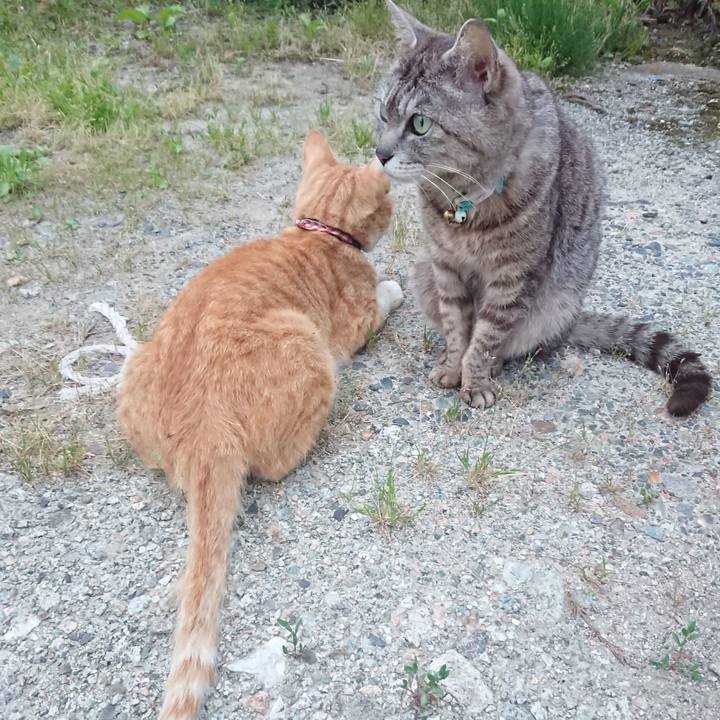 50ea1e4f 1300 47a4 8c1c fa3ffdfd38c5 1561111670947