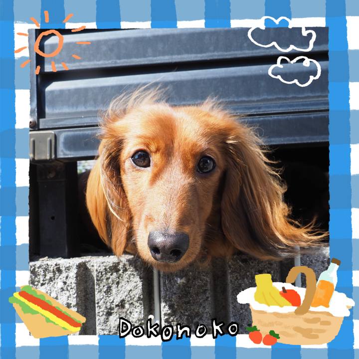 50ea29a6 40c9 4e02 a39c 1a9957434ff1 1744616456812