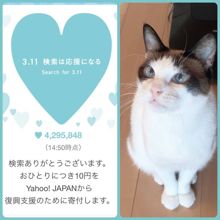 50ea4bfb a412 45e0 a8f9 9f9585032b71 1583907035117