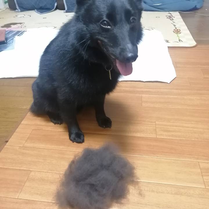 50ead754 568f 4e30 aa9c 0a02b3567f3e 1657143332454