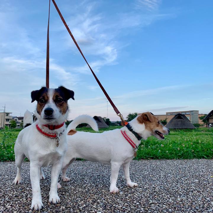 50eb4165 e331 49a9 9e45 cc309eb59819 1562752623142