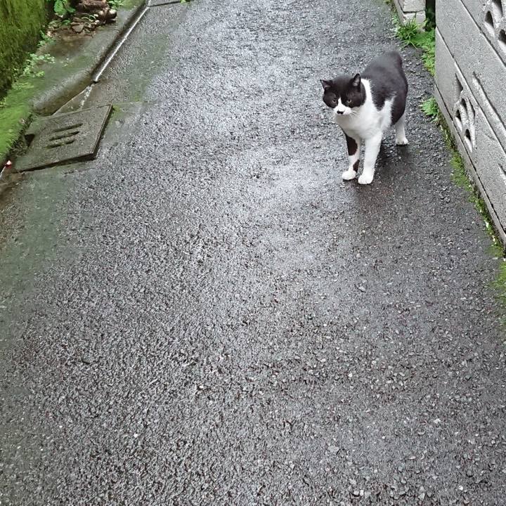 50eb9b55 a3ef 4cb1 a9a4 add45d2d7d8a 1595491493090