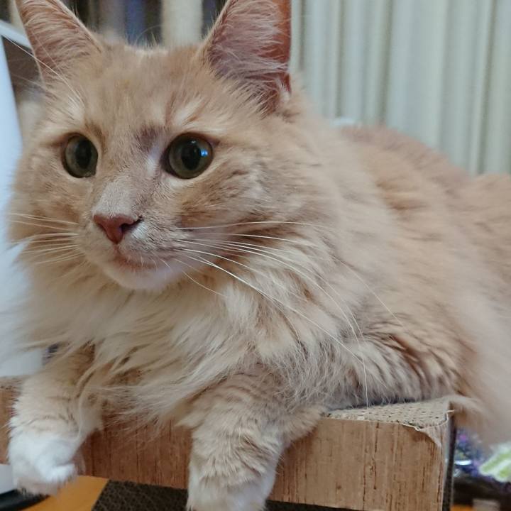 50ec0044 ab3d 48b8 8ee9 4b4c69b35ad6 1525180444760