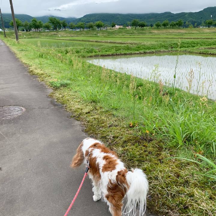 50ec1d7a 1443 4a45 9d98 bf11509ce259 1621319386449