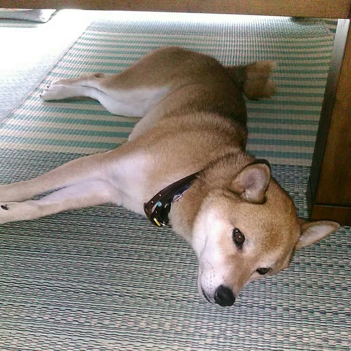 50ec2c90 c136 4386 bbc7 6acd0ac8da42 1568081168069