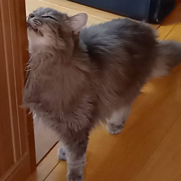 50ec397c c99d 4531 b18f 58971d329708 1638312368917