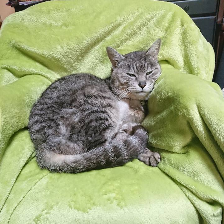 50ec4155 46ee 4f6d 95c8 31f8a0fe2b02 1587640396664