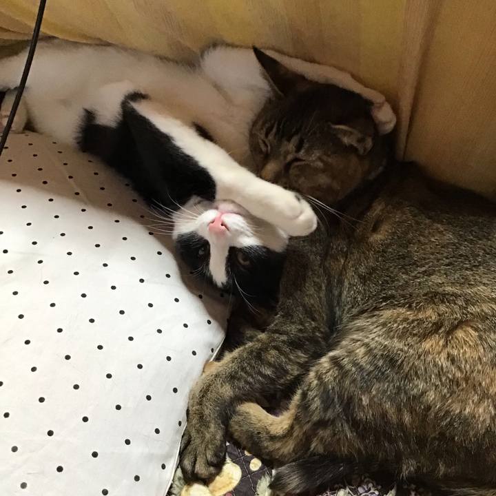 50ec6f5d 0db7 4596 8067 5233e67ea792 1640328537183