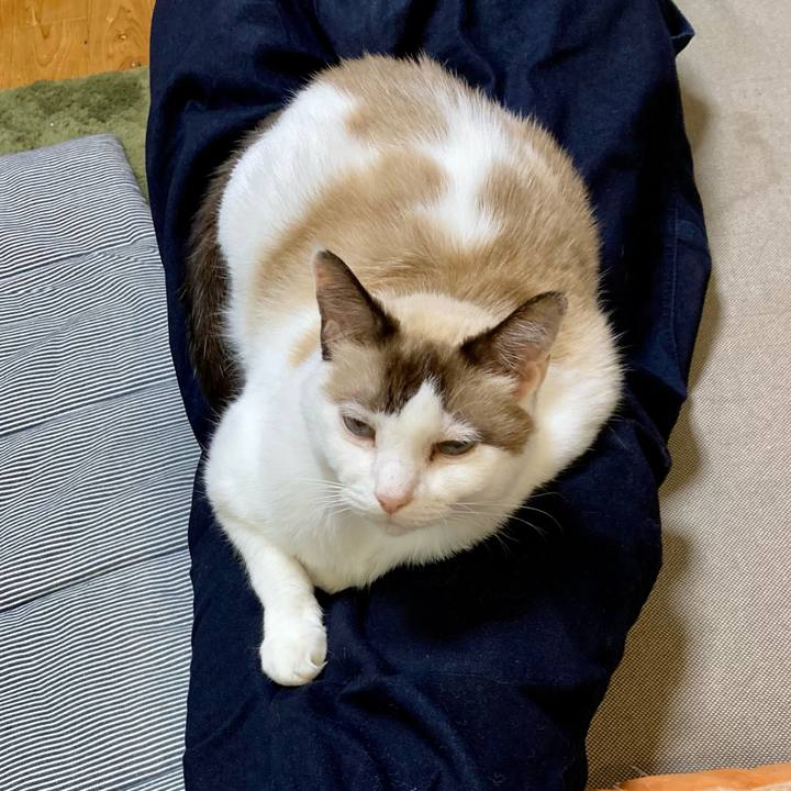 50ec989a 4c53 450e a592 66a71d622fbc 1634987479361