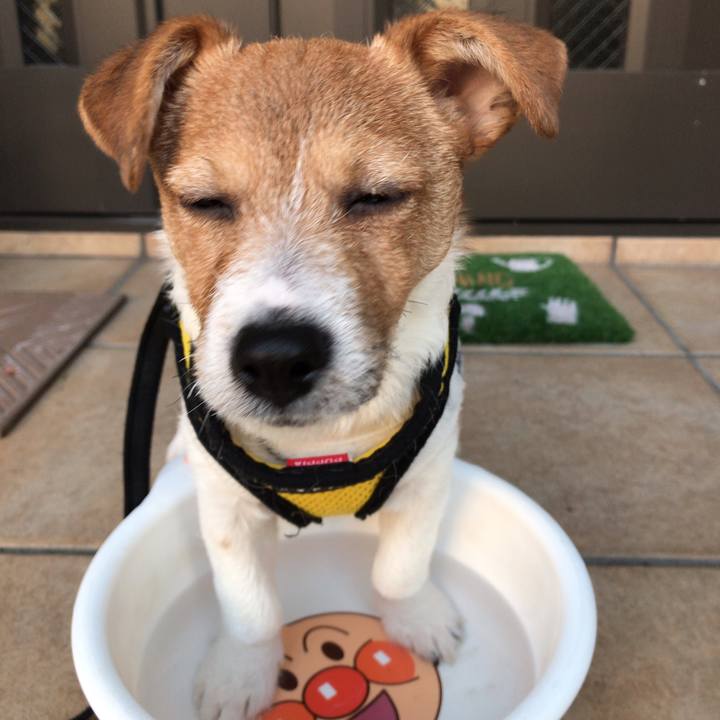 50ec9983 63c8 4b35 96f4 6807ec814371 1548292103004