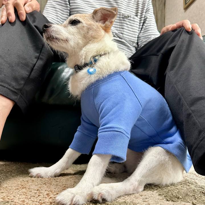 50eca37a 12bc 4f5e 8050 8996d65cb827 1760609405523