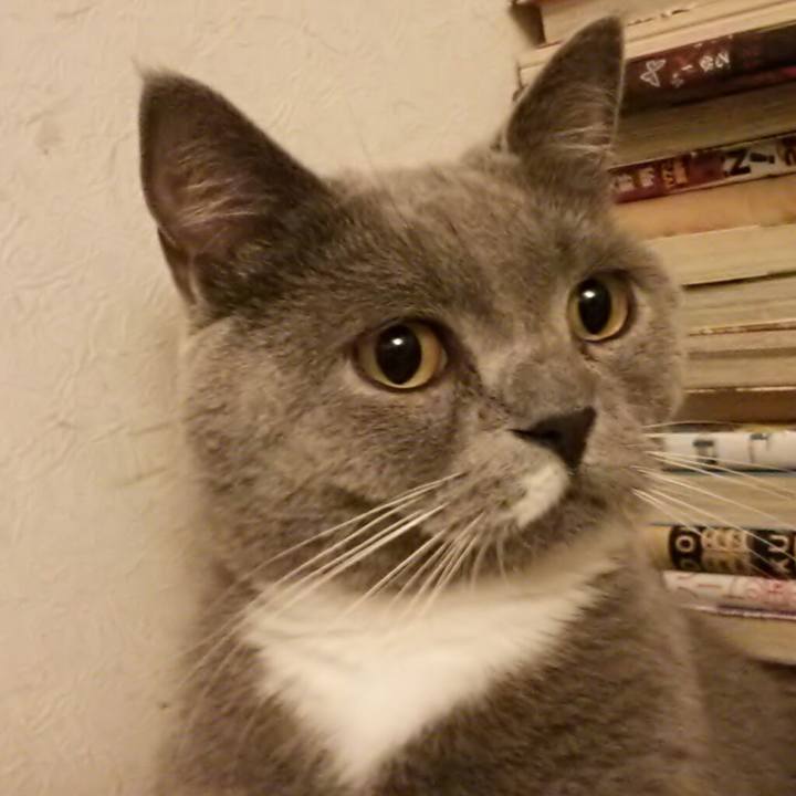 50ecd3f6 156e 42a0 bb7d 9fc4a36d15f7 1557570080597