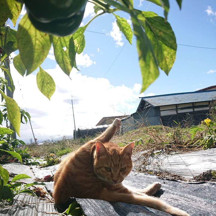 50ed0668 ef1d 4433 9620 3e50b53d35bb 1603513449963