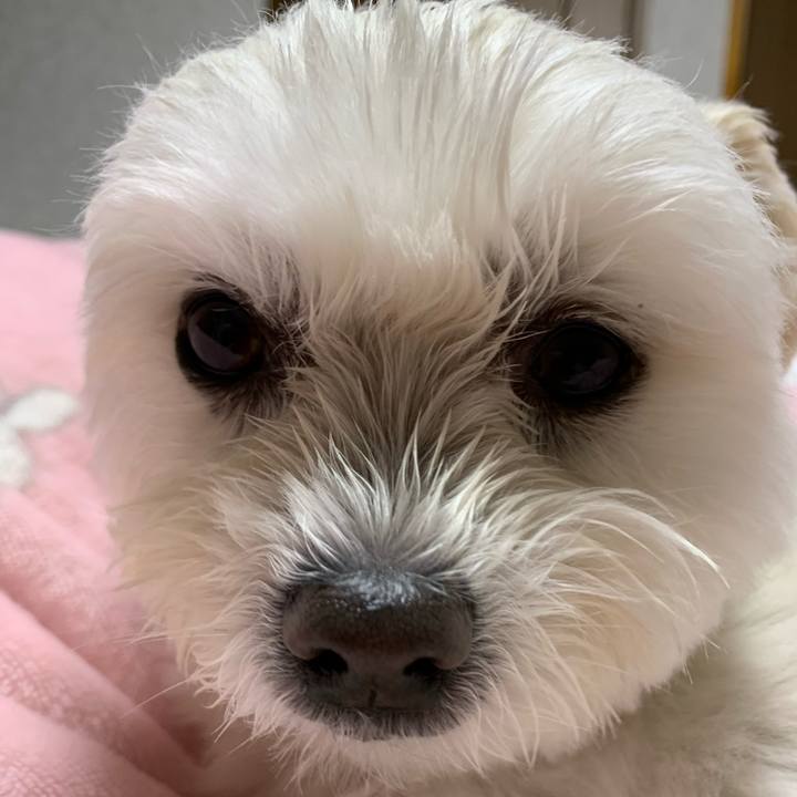 50ed3a4e 9cc5 483c adbb 975ff2acfa6e 1638620560111