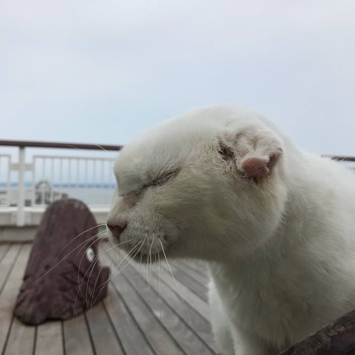 50ed401e 72db 453a 97b6 3162674f16ab 1563798673421