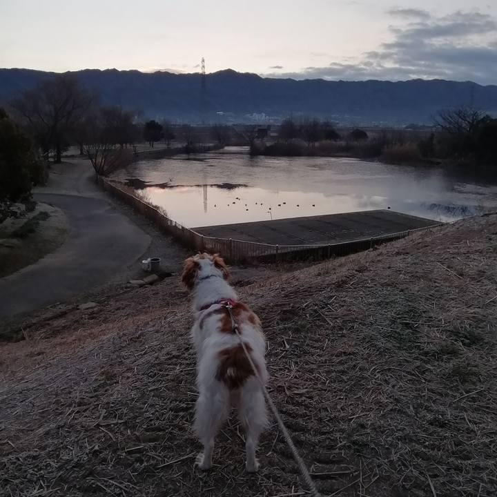 50ed4575 40fe 4b00 bddb bc2787775b1b 1581300936881