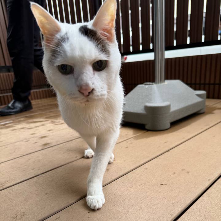 50ed74a9 76c3 4d55 862e 902fe0c6afb5 1761524959406