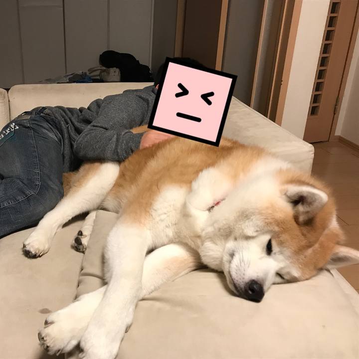 50edca7d a6ca 461c a84f 540b01545d65 1554037177402