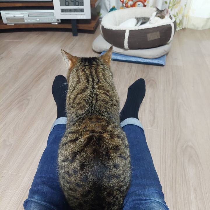 50eddbe6 fe63 4e3a 9755 bc3171368823 1634766470294