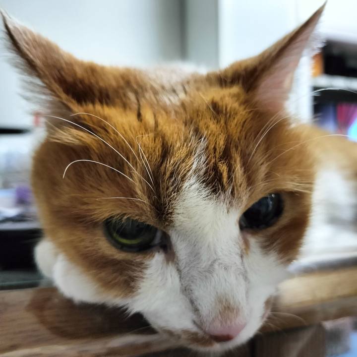 50edeb74 46a5 411a 9c3a ef53feb1db27 1726960043741