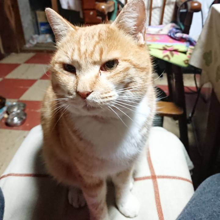 50edfe63 72ab 465b 9d01 e0156e2fbe9c 1579290445219