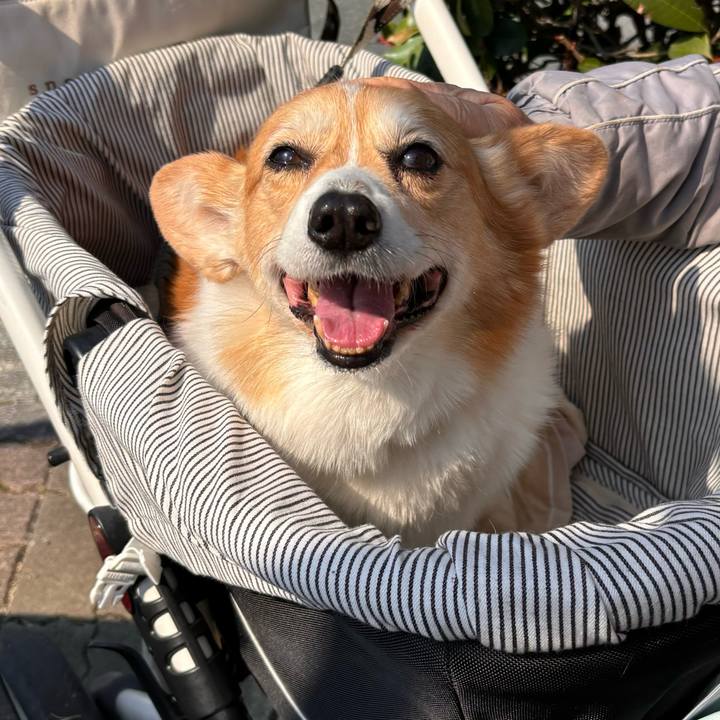 50ee22d8 e780 459d 8444 34949bf0986f 1773284881352