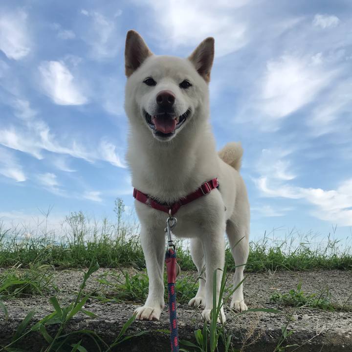 50ee3c0d ebb0 40d9 92e7 0272a6ade4f7 1536374648122