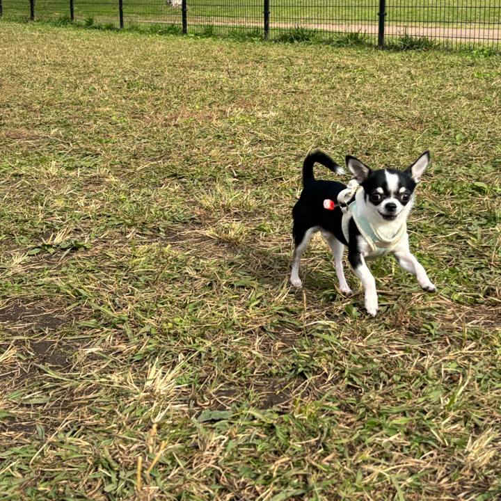 50ee4942 d59a 4a3d a49c be0fa9fa68c8 1763274580489